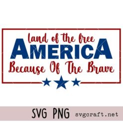 4th of July Svg Png, America svg Png, Freedom 4th of July Svg Png