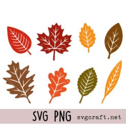 Fall Leaves Bundle Svg Png, Autumn Maple Leaf Svg Png