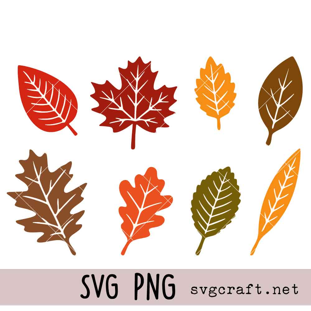 Fall Leaves Bundle SVG PNG Fall Leaves Bundle Svg Png, Autumn Maple Leaf Svg Png