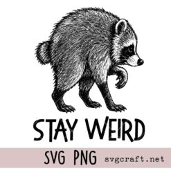 Jimothy Raccoon Svg Png, Famous Seattle Raccoon Svg Png, Trash Panda Svg Png