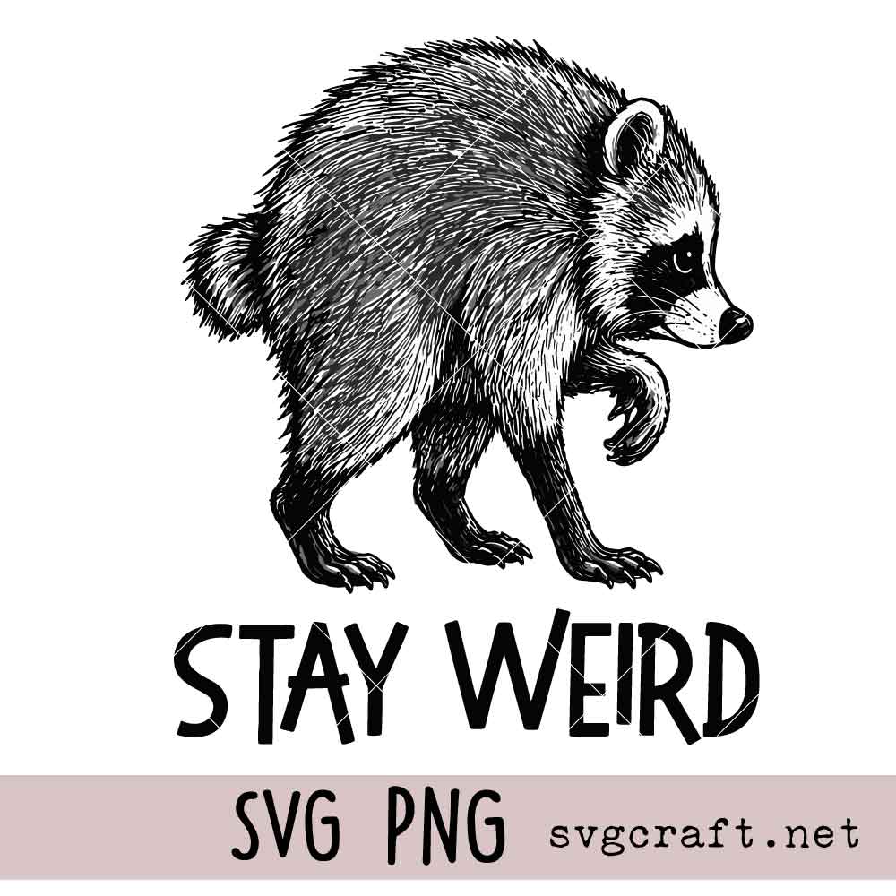 Jimothy Raccoon SVG PNG Jimothy Raccoon Svg Png, Famous Seattle Raccoon Svg Png, Trash Panda Svg Png