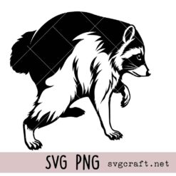  Jimothy Raccoon Svg Png, Funny Viral Raccoon Meme Svg Png, Feral Raccoon Svg Png