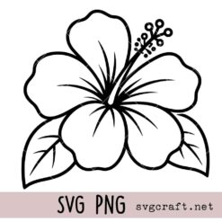 Hibiscus Flower Svg Png