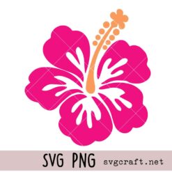 Hibiscus Svg Png, Hawaiian Flower Svg Png, Hibiscus Flower Svg Png