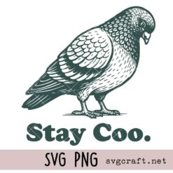 Stay Coo Svg Png, Funny Pigeon Shirt Design Svg Png, Minimal Bird Quote Svg Png